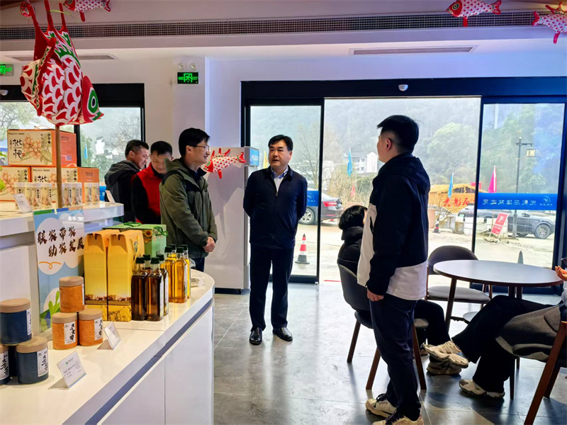 3月9日，县人大常委会吴主任到石潭游客服务中心指导项目建设和运营工作。.jpg