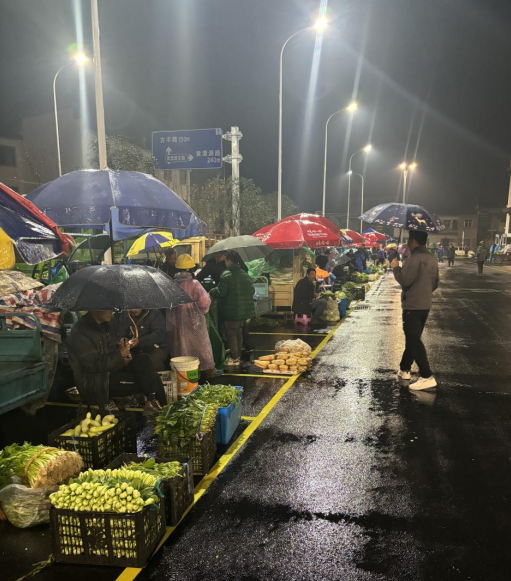 1700624787868092.jpg 1700624663007.jpg