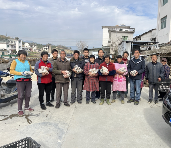 1705914407121944.png 图片1.png